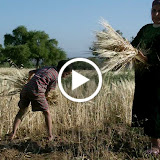 Morocco - videoplayback?id=bc54c26d01dd2629&itag=18&source=picasa&cmo=sensitive_content%3Dyes&ip=0.0.0.0&ipbits=0&expire=1371861696&sparams=id,itag,source,ip,ipbits,expire&signature=D5EB8E68467589D58D53D3929E2AE3DF5273DD45.DD8F59504D6B3D8B1D67D255C27E7ED750A02766&key=lh1