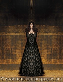 dramatic_illusion_black_lace_wedding_dress_211947_20110912204919