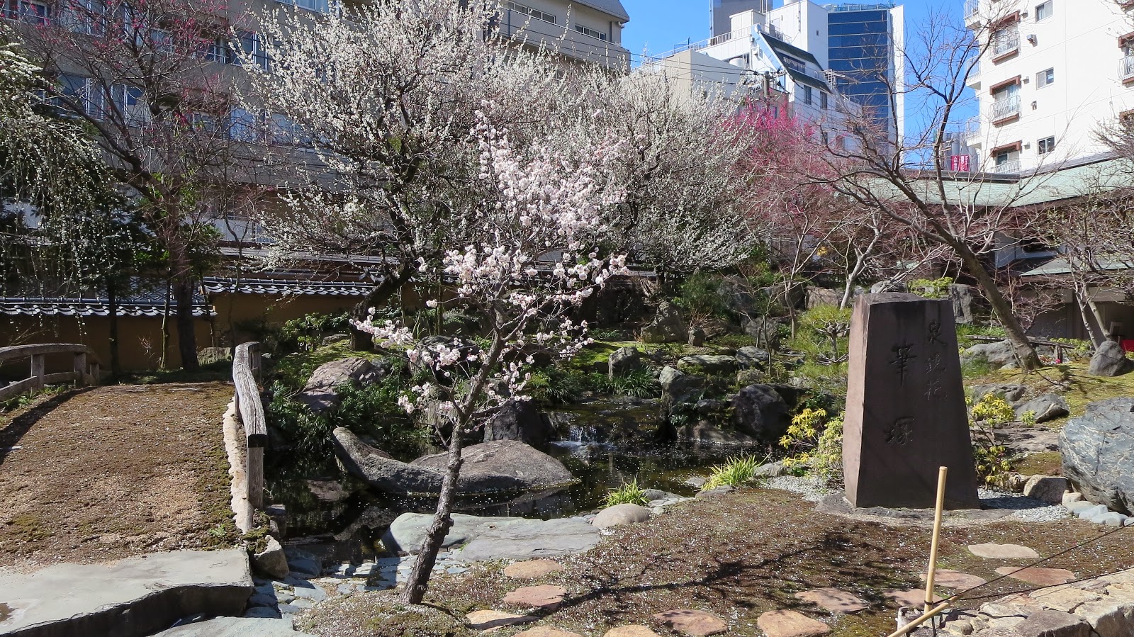 [IMG_04783.jpg]