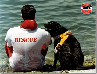 Cães ajudam a salvar vidas