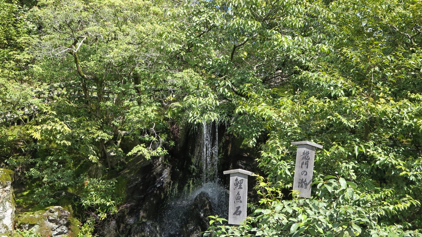 [IMG_2519%255B3%255D.jpg]