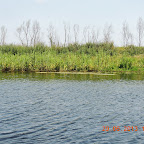 DSCN8202.JPG
