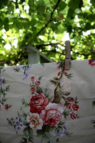 [IMG_4511-1%255B3%255D.jpg]