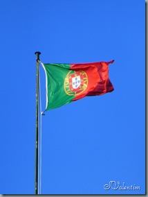 P1030242 P1030242