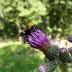 2011.07.10. - M&M na Dovški Babi