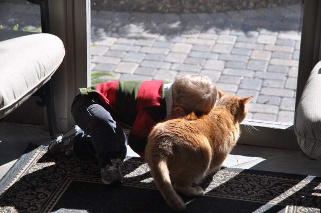 [DSC_1080%255B3%255D.jpg]