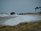 4.01.2012. Palmbeach