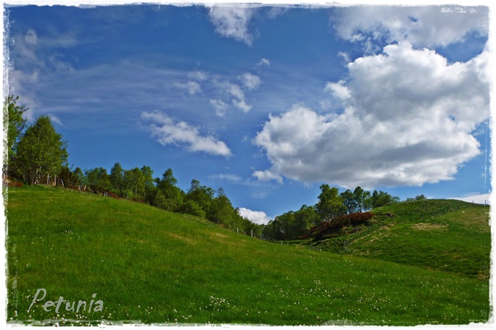 Himmelsk 6