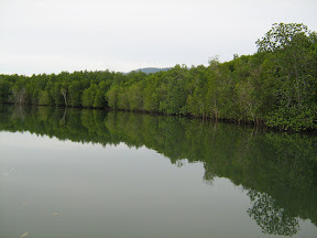 IMG_0295.jpg
