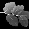 img2.jpg