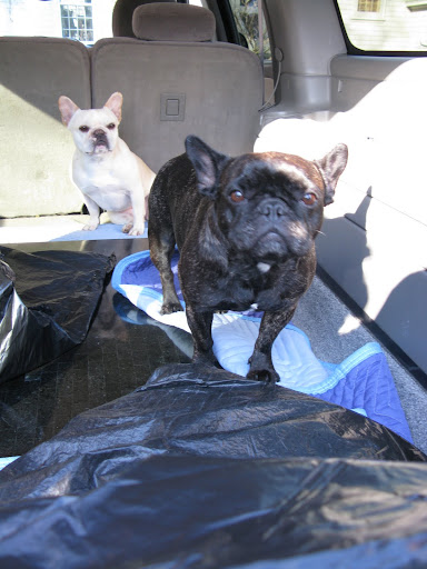 Carlos, now do you see why I get so upset?  Some of us are just meant to be workers while others are just slackers.  Let's hit the road!
