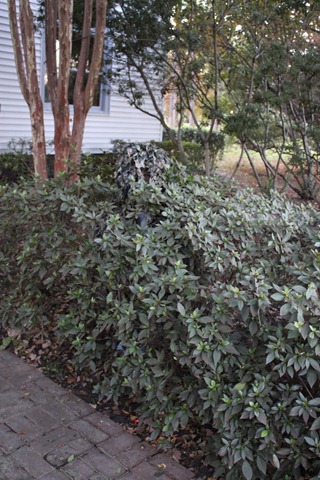 [IMG_4364%255B3%255D.jpg]