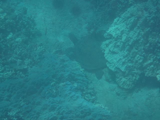 [IMG_3527%255B3%255D.jpg]