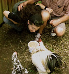 Chickens deserve kisses too!