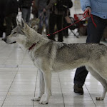 KV CSV 20130222_0130.jpg