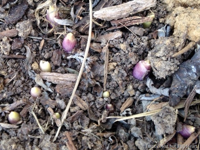 [photo%25202%255B2%255D.jpg]