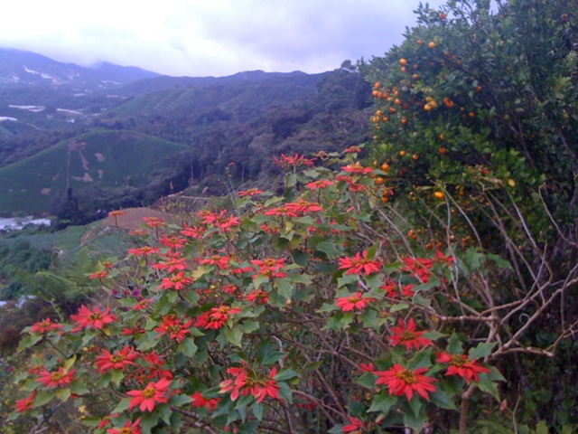 [IMG_2369%255B2%255D.jpg]