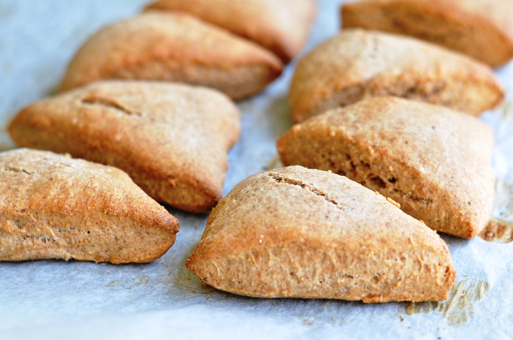 [DSC_1446%255B3%255D.jpg]