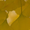 sonialovewell031.jpg