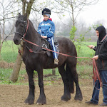 IMGP0433.JPG