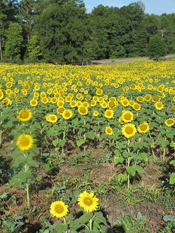 [IMG_0016%255B2%255D.jpg]