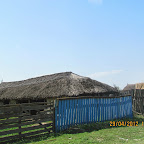 IMG_7218.JPG