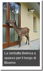 Cattura Cattura