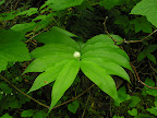 DSCN4916.JPG