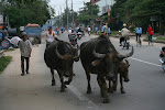 Hue, Vietnam 027.JPG