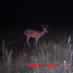 ICAM0044 (6).JPG