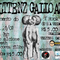  FLYERS_2011