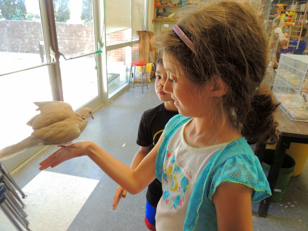 [DSCN9397%255B3%255D.jpg]