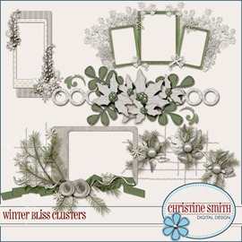 CSmith_WinterBlissClusters600