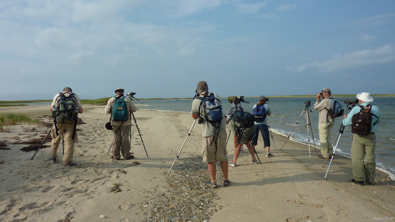 [birding-south-beach_003-13.jpg]