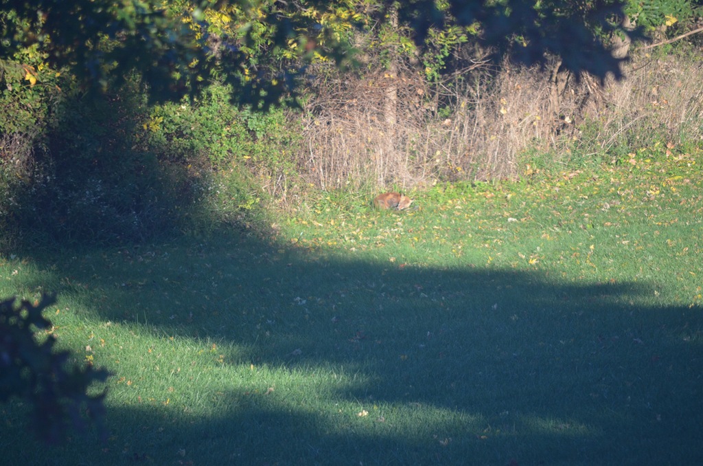 [DSC_2609%255B5%255D.jpg]