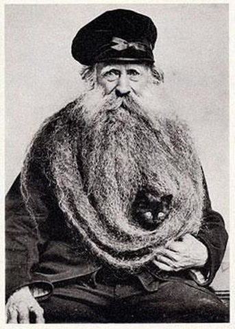 [strange-cats-expain-that-enhanced-buzz-9281-1334173319-82%255B2%255D.jpg]
