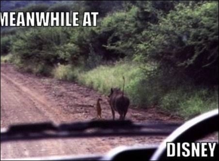 Meanwhile-in-disney