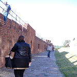 Patrolling the wall...