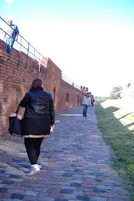 Patrolling the wall...
