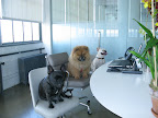 We work really hard and you know we are doing a great job.  So, there!!!