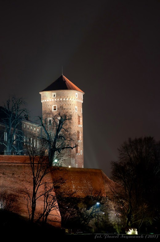 Baszta Sandomierska- Wawel, smok wawelski DSC_4639.jpg