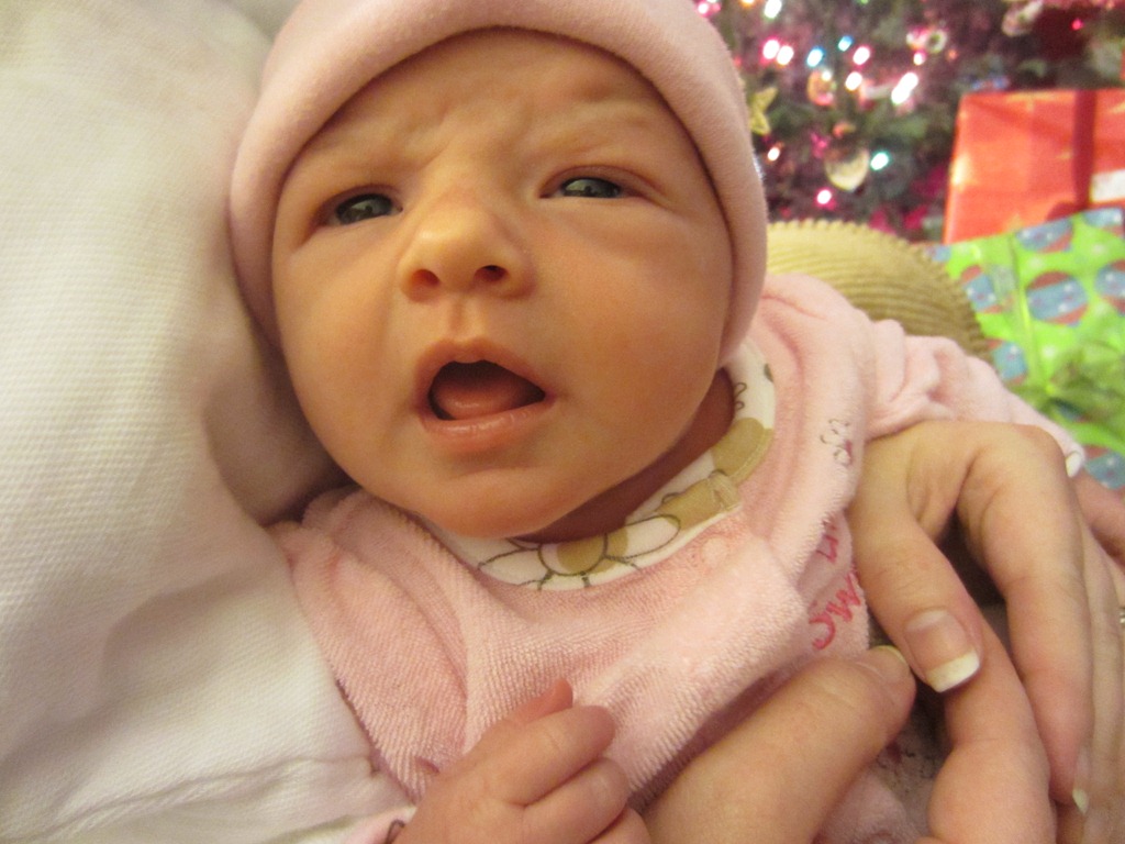 [Zoey--Herndon-Christmas23.jpg]