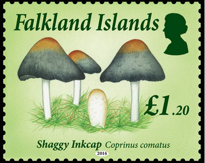 [image%255B32%255D.png]