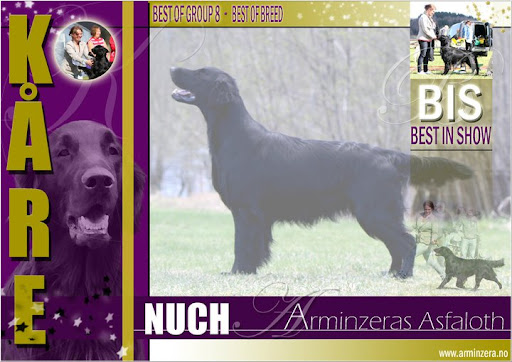 NUCH Arminzeras Asfaloth NUCH Arminzeras Asfaloth