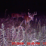 MDGC0360.JPG