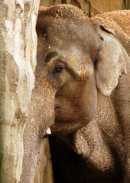 [DSC_6529%255B4%255D.jpg]