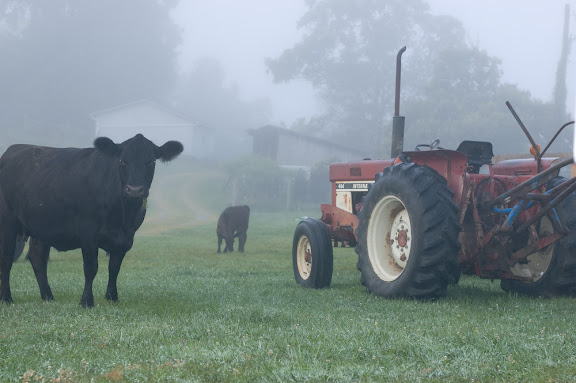 Beef: It's what staring at you.