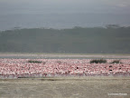 Nakuru Nationalpark