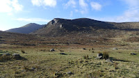 P1010715.JPG Photo