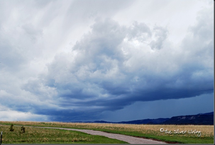 DSC_0544a copyright